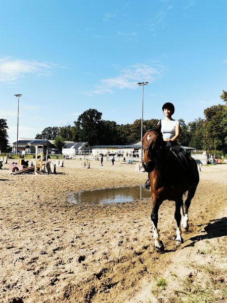 Centre équestre du château - photo 2
