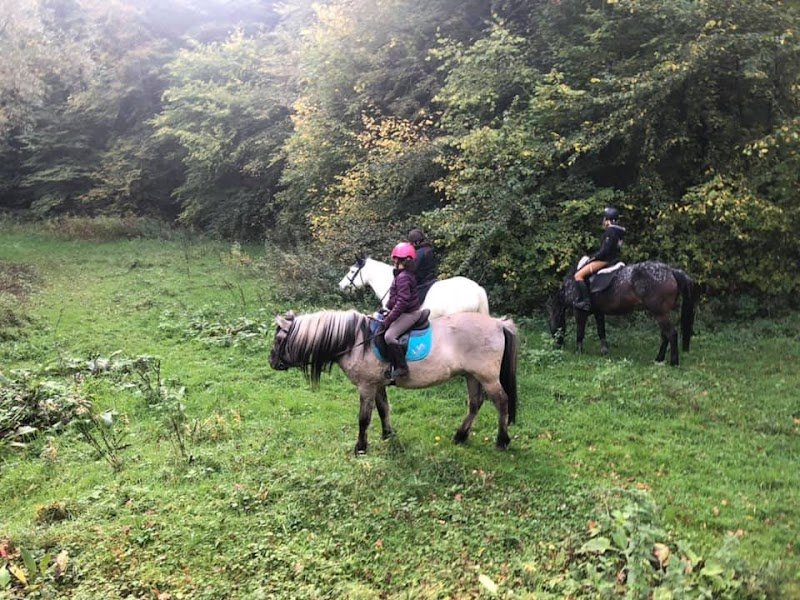 Centre équestre du château - photo 3