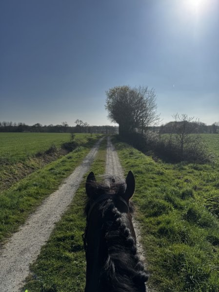 Écurie A.V. Belloi - photo 2