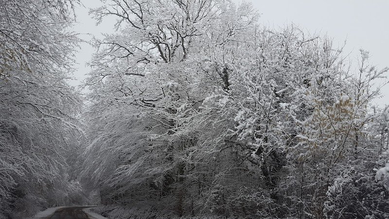 Ecurie De La Valée Des Sources - photo 1