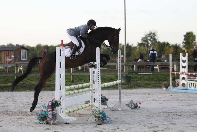 Ecurie De La Valée Des Sources - photo 2