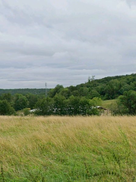 Écurie d'Emacé - photo 1