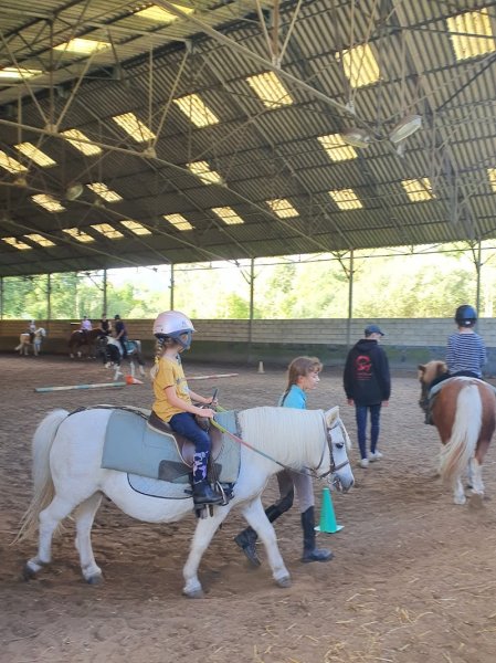 ABC du cheval et du poney - photo 1