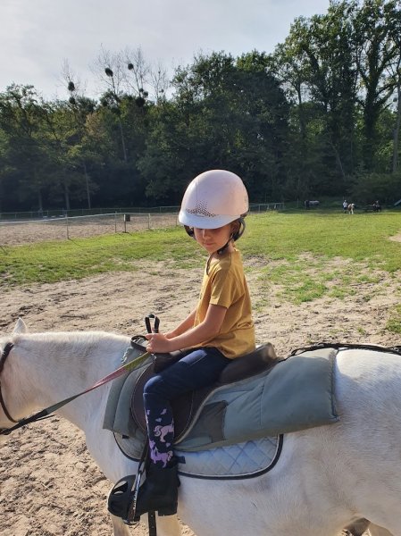 ABC du cheval et du poney - photo 2