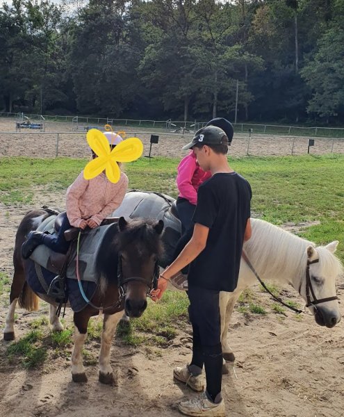 ABC du cheval et du poney - photo 3