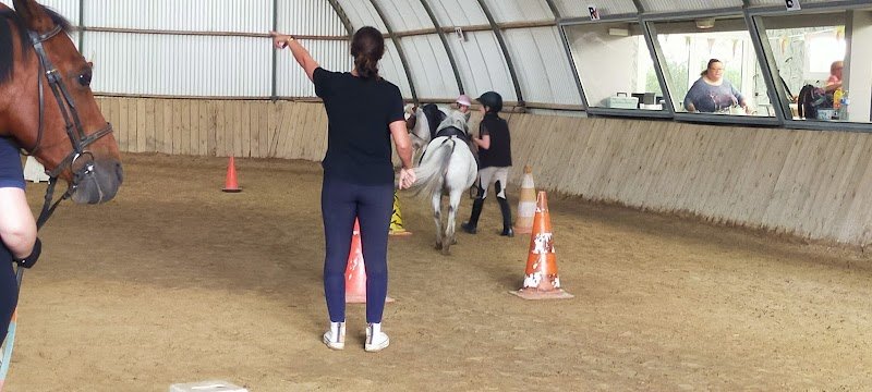 Les Ecuries Du Marais - photo 3