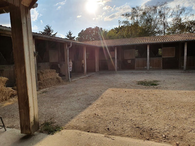 Poney Club et Gîte de Villers en Argonne: stage et séjour équestre, gîte de groupe proche de Reims dans la Marne - photo 2