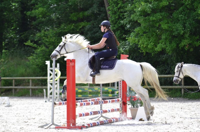 Ecurie d'Holiboo - photo 1