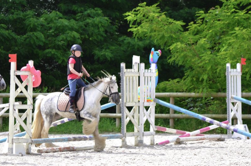 Ecurie d'Holiboo - photo 2