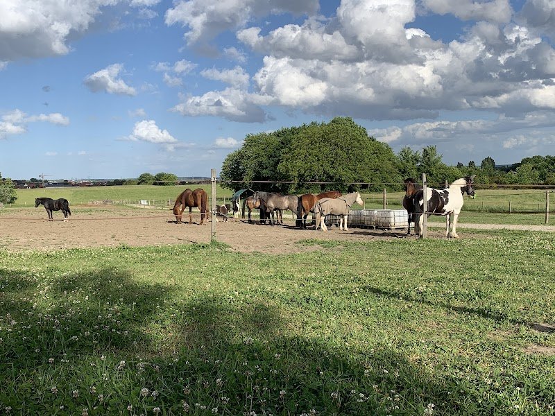 Ecuries de Coubron - photo 2