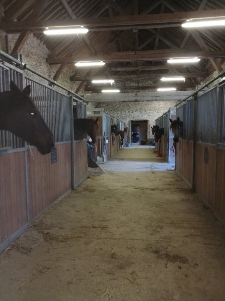Ecuries du Breuil - photo 2