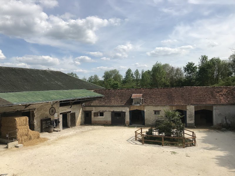 Centre Equestre de Montgareux - photo 3