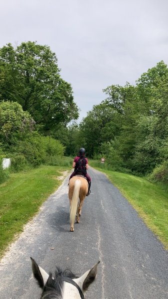 Centre Equestre de la Contance - photo 2