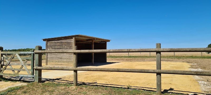 Haras de Roize - photo 2