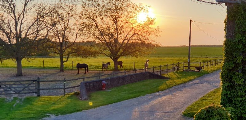 Haras de Roize - photo 3