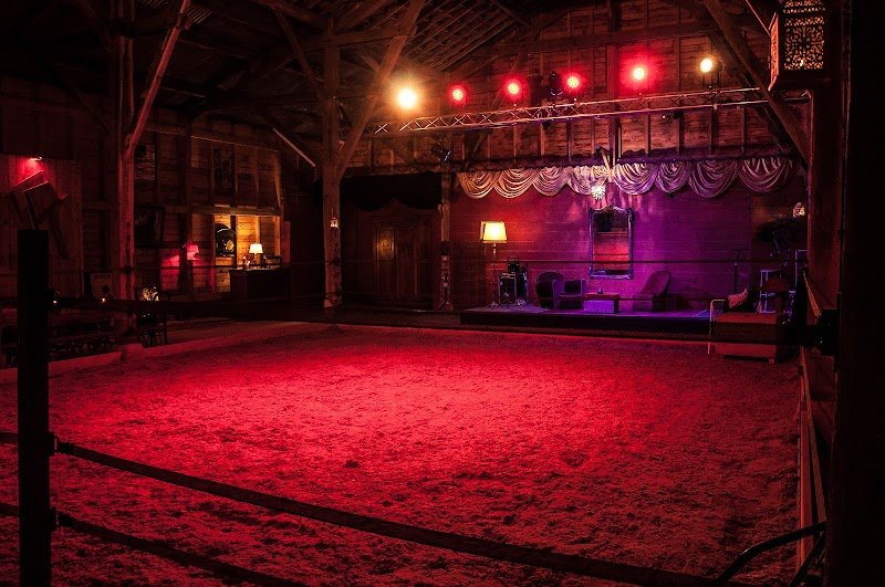 Eq'Art, spectacles équestres, Eq’Art et Sens, médiation équine