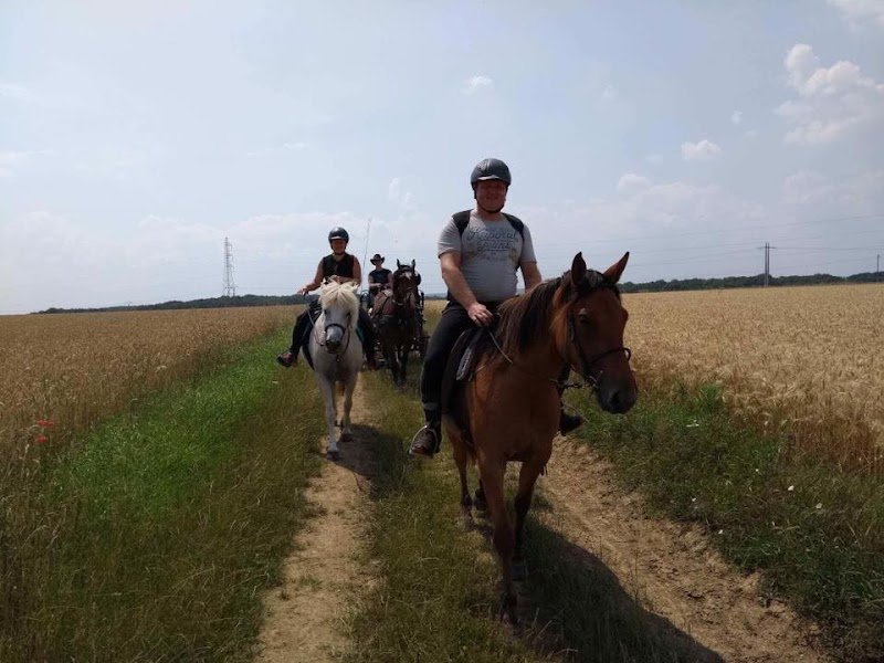 ECURIES DU BOIS MOREL - photo 2