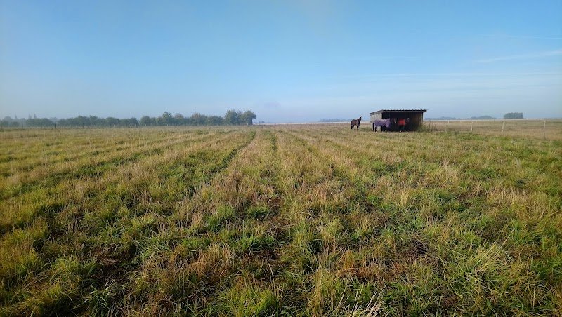 ECURIES DU BOIS MOREL - photo 3