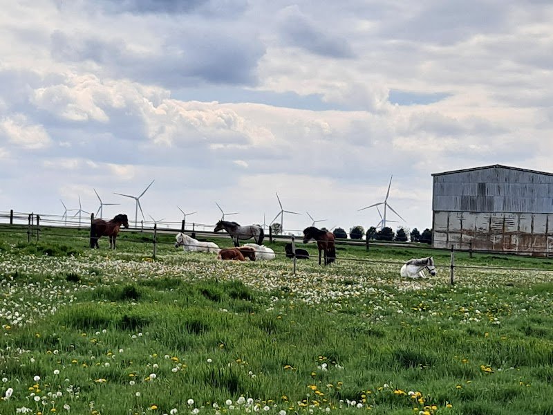 Les Ecuries Du Nuirat - photo 1