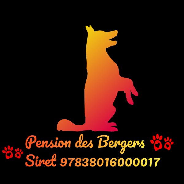 Pension des Bergers - photo 2