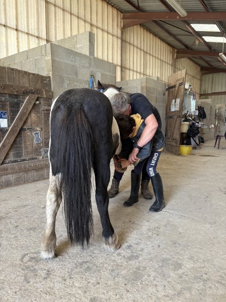Centre équestre Crinière dans le vent - photo 1