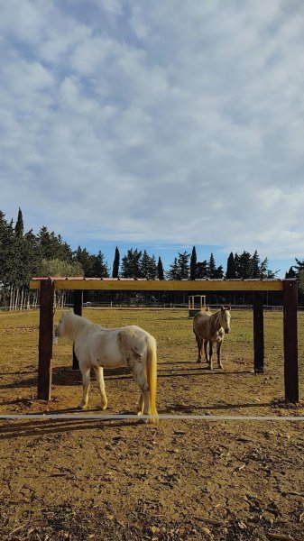 Écurie La Vista - photo 2
