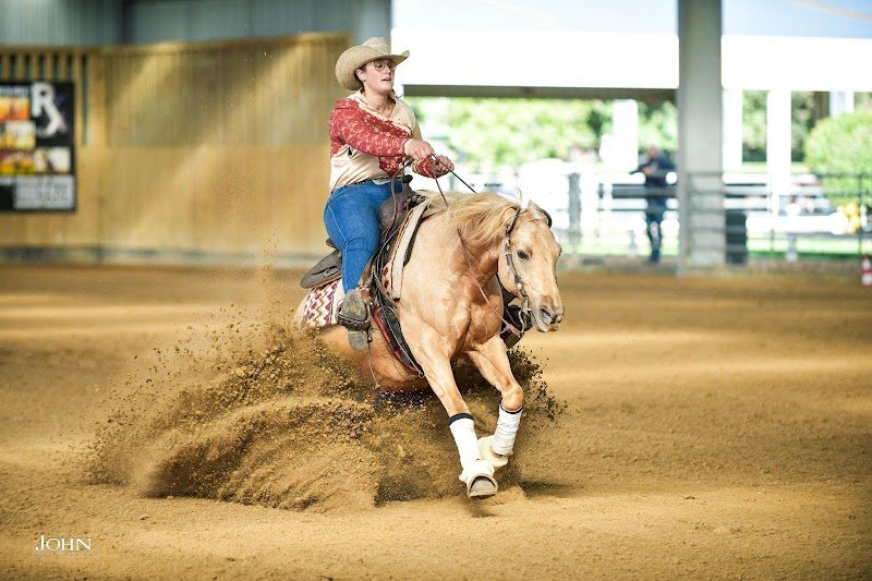 Emy reining horses - photo 1