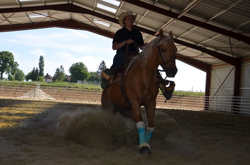 Emy reining horses - photo 2