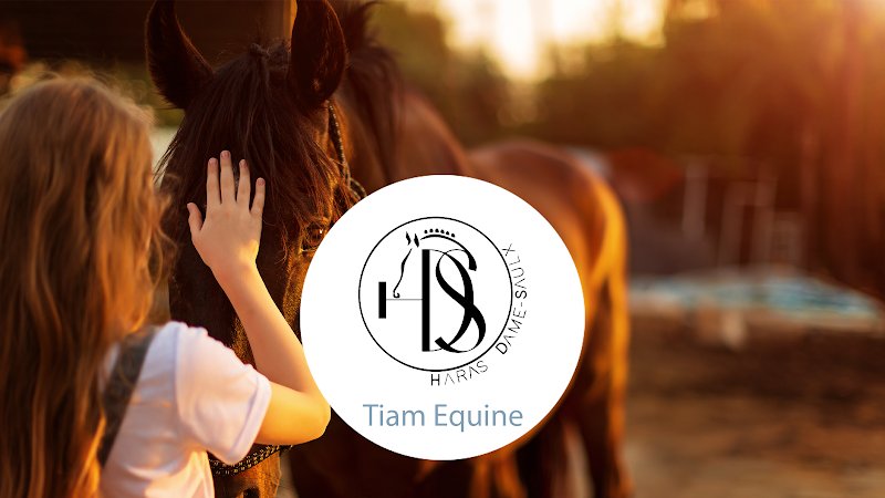 Tiam Equine . Haras Dame-Saulx