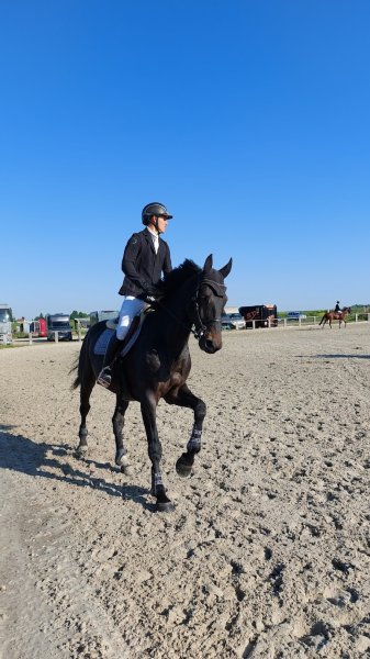 HARAS DE MONTHOME - photo 1