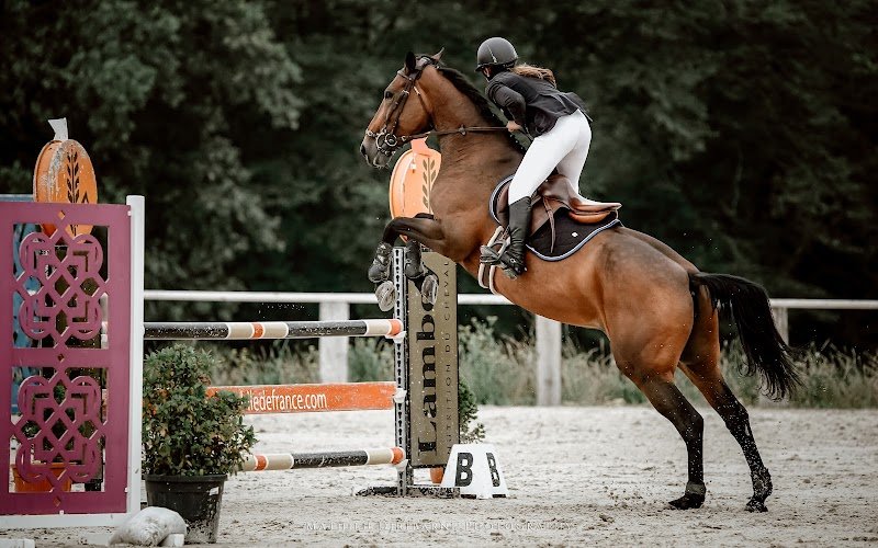 HARAS DE MONTHOME - photo 2