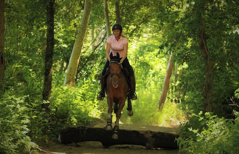 ecurie des blancs champs - photo 1