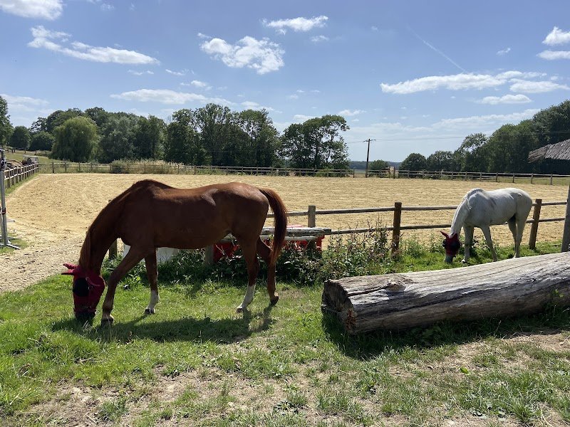 ecurie des blancs champs - photo 2
