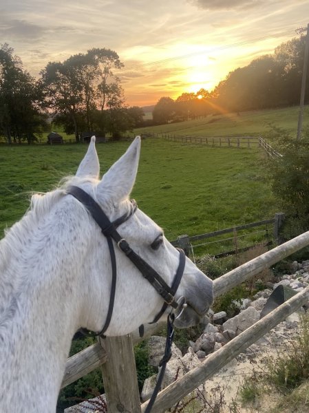 ecurie des blancs champs - photo 3