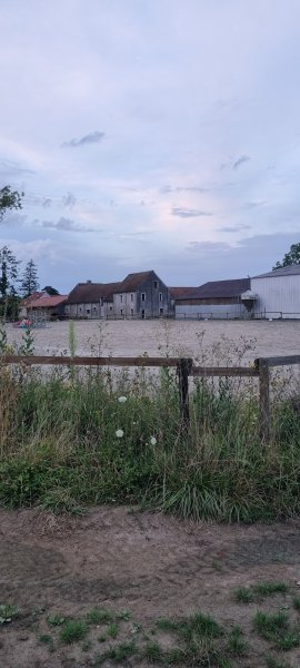 Écuries du Vent d'Est - photo 2