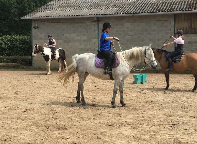 Les Ecuries de la Futaie - photo 1