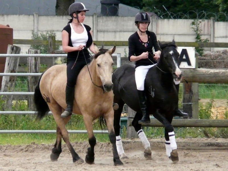 Les Ecuries de la Futaie - photo 2