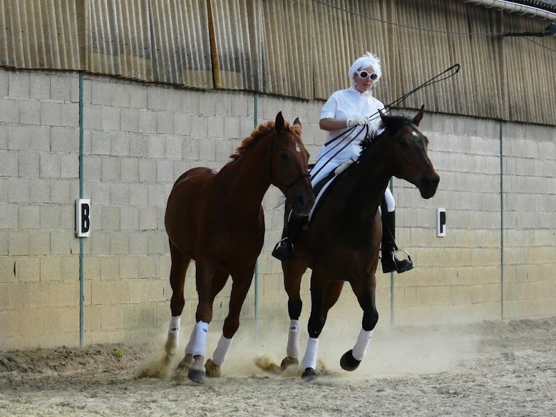 Les Ecuries de la Futaie - photo 3