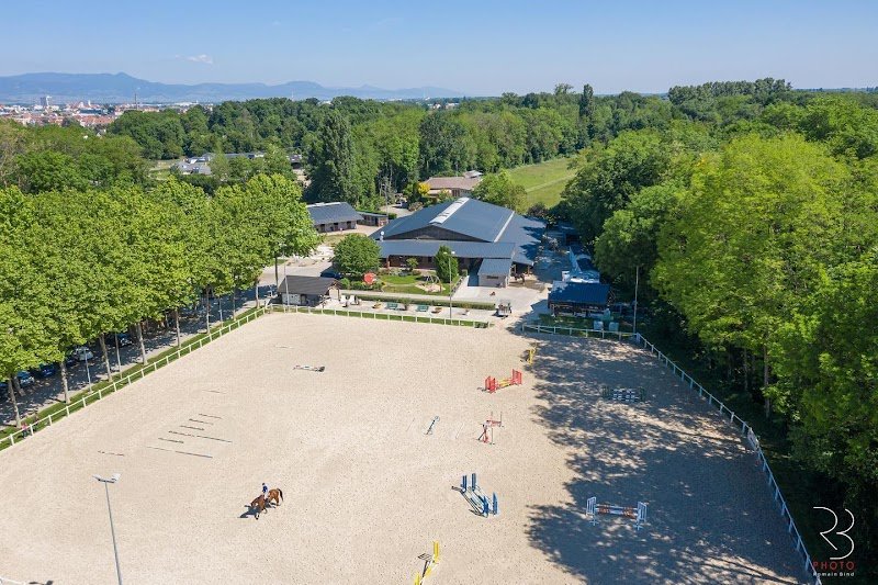 Écurie du Dachsbuhl / Élevage du Hans - photo 2