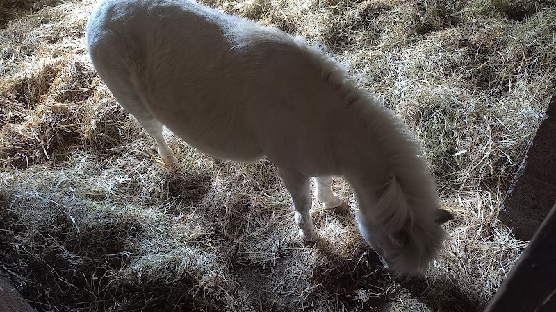 Les Écuries de l'Étang - photo 2