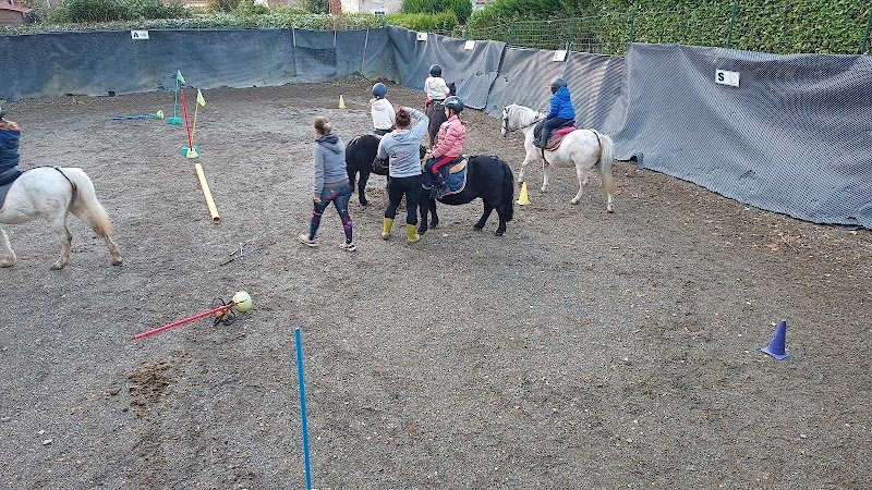 Les écuries de la virginia - photo 3