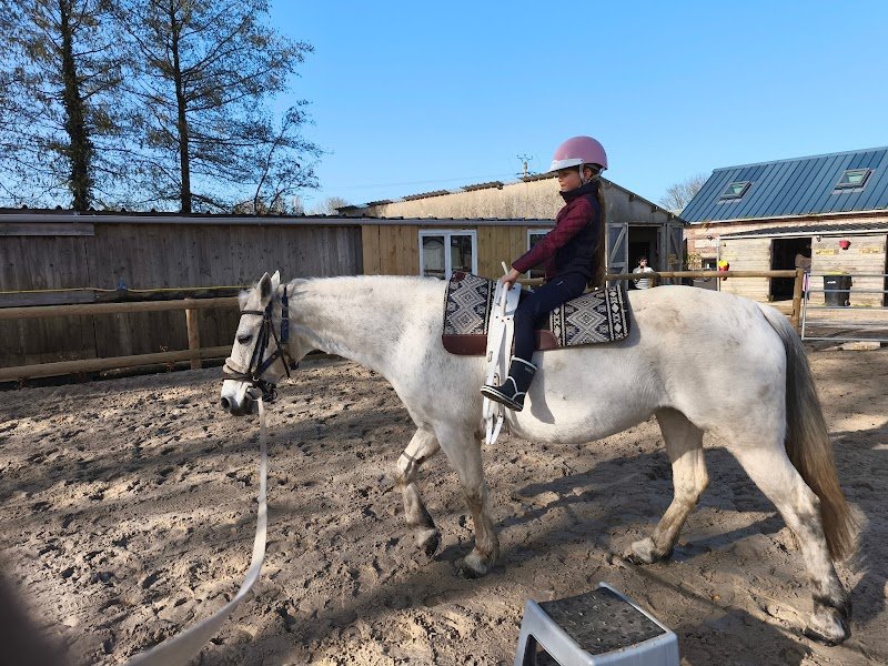 Écurie des Aulnes - photo 2