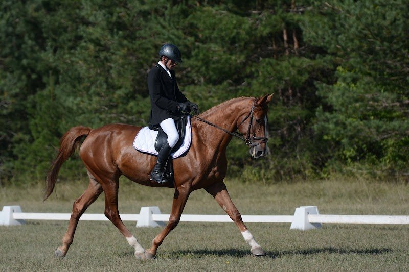 CENTRE EQUESTRE DU LOUVANT - photo 1