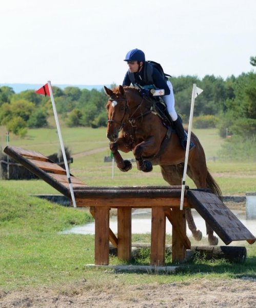 CENTRE EQUESTRE DU LOUVANT - photo 2