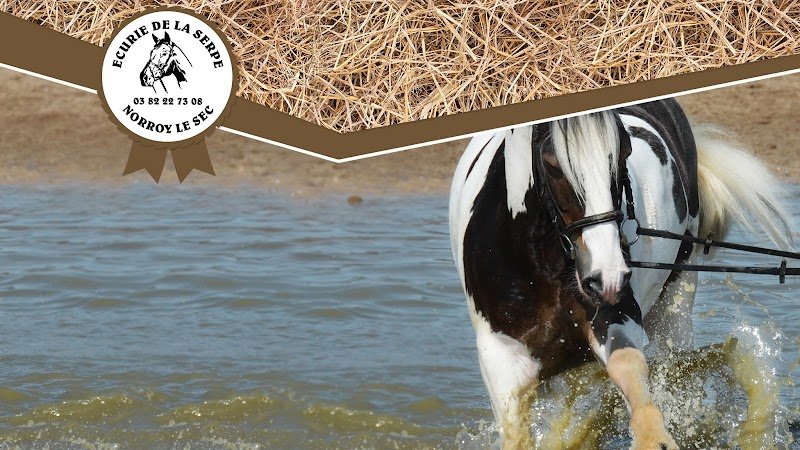 Écurie de la Serpe - photo 1