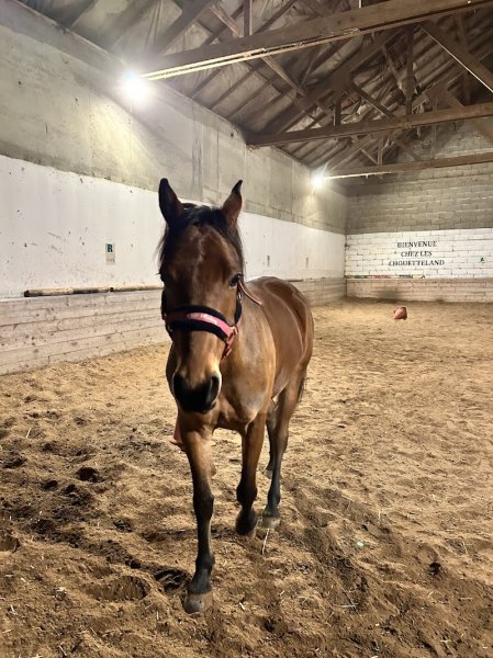 L'Écurie du Pavillon d'Étiolles
