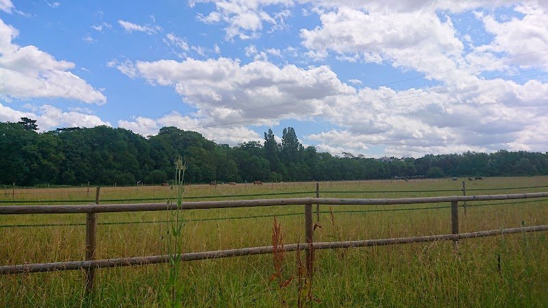 L'Écurie du Pavillon d'Étiolles - photo 2