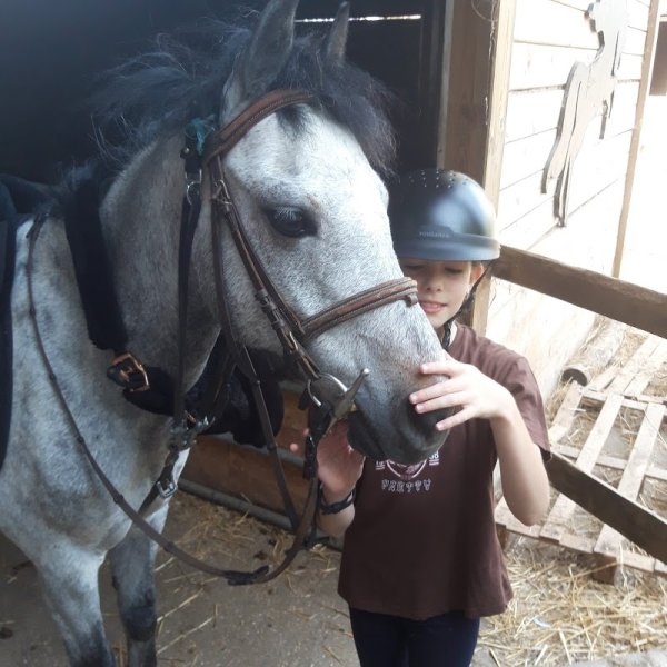 L'Écurie du Pavillon d'Étiolles - photo 3