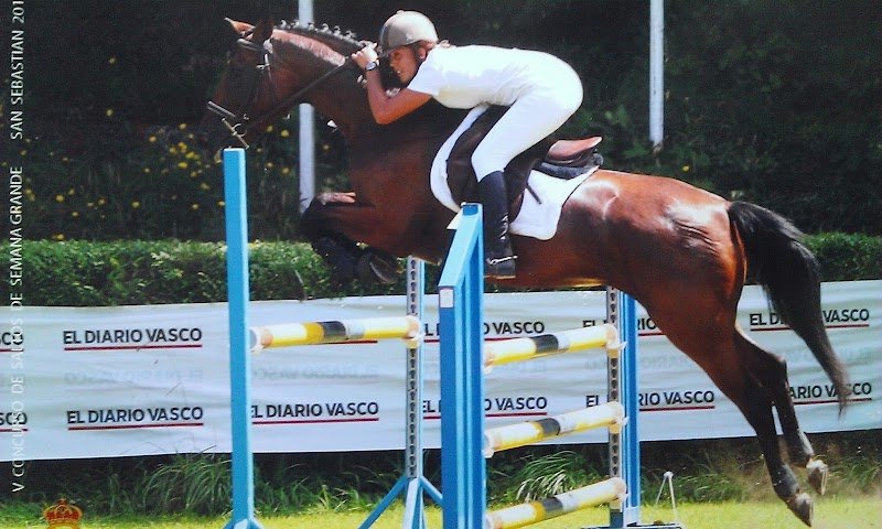 Ecurie de la Nive - photo 1