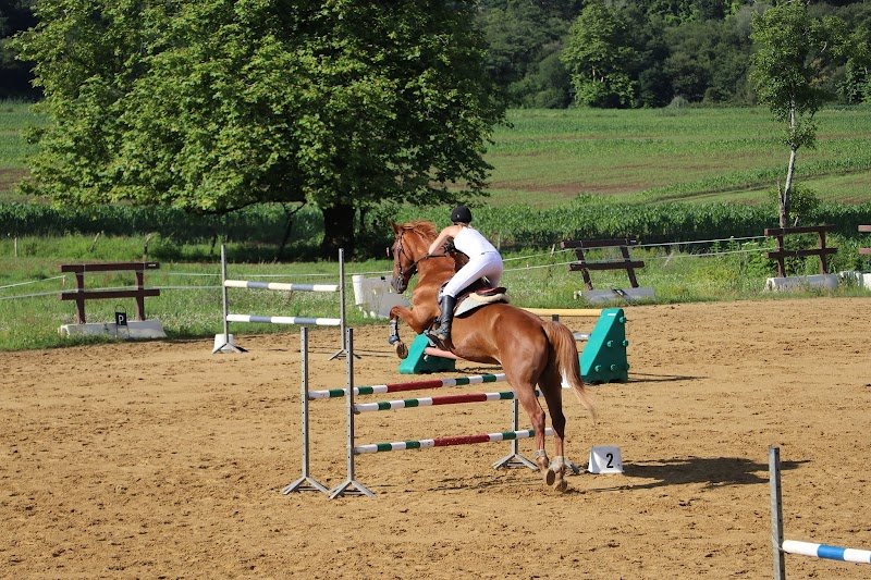 Ecurie de la Nive - photo 2